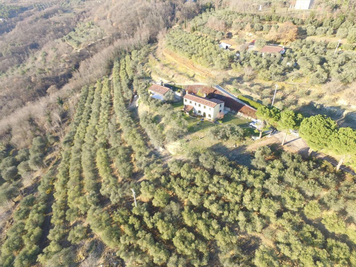 Holiday House Petrarca * Arqua Petrarca